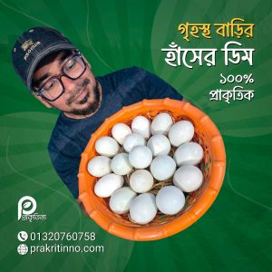 Bangladeshi Local Duck Egg, Hasher Dim, Organic eggs, দেশি হাসের ডিম